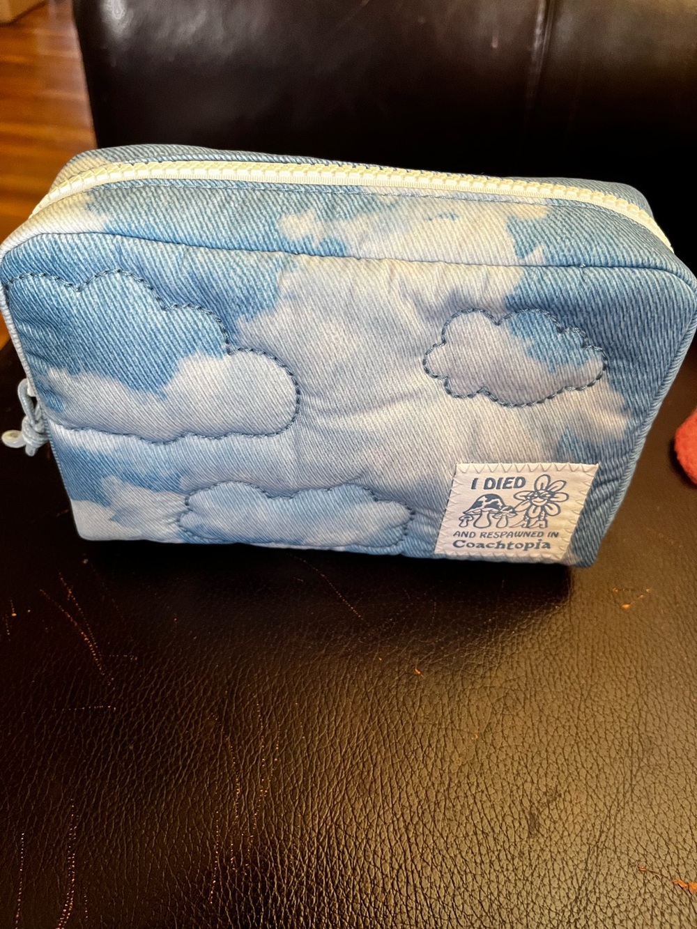Coachtopia Denim Cosmetic Case With Puffy Clouds